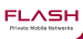 Flash services logo